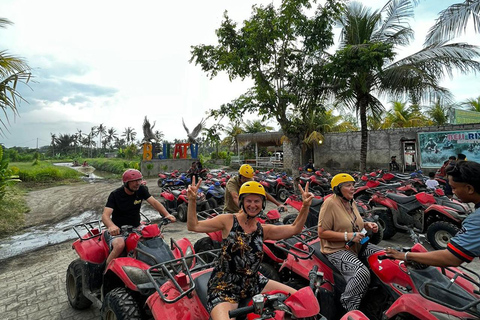 ubud : private tour,atv,rice terrace,waterfalls group of 1-3 person