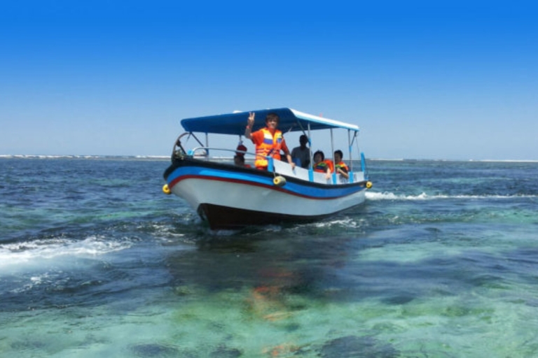 Bali: Mit dem Glasbodenboot zur SchildkröteninselGlasbodenboot zur Schildkröteninsel mit Meeting Point