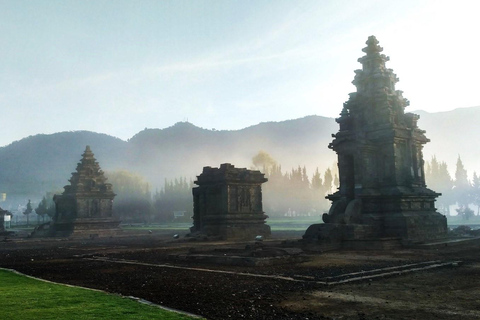 From Yogyakarta: Dieng Tour, Golden Sunrise &amp; Tea Plantation