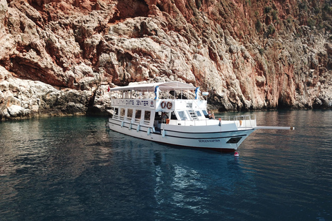Alanya: PADI Discover Dive & Certified Training Options First Time Diving Option