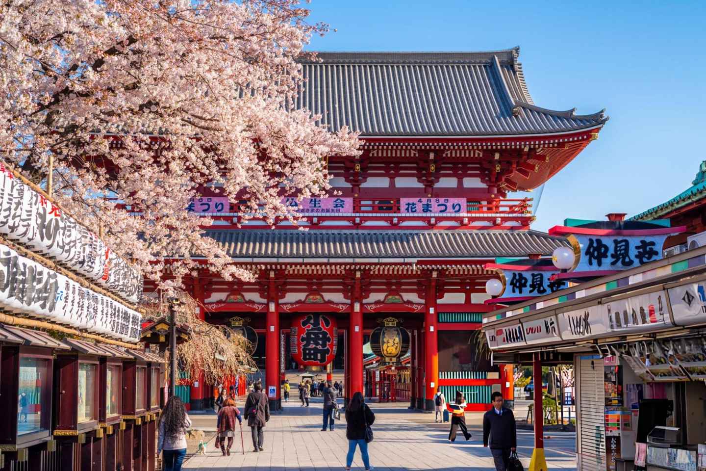 Best of Tokyo: Guided Full Day City Tour with a Local - Best of Tokyo: Guided Full Day City Tour with a Local