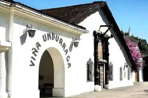 Santiago: Viña Undurraga Vineyard Tour with Wine Tasting