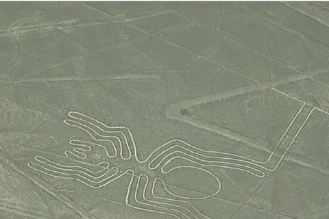 From Lima: Paracas - Huacachina - Nazca - Luxury bus to Arequipa 3D From Lima: Paracas- Huacachina- Nasca -Luxury bus to Arequipa 3D