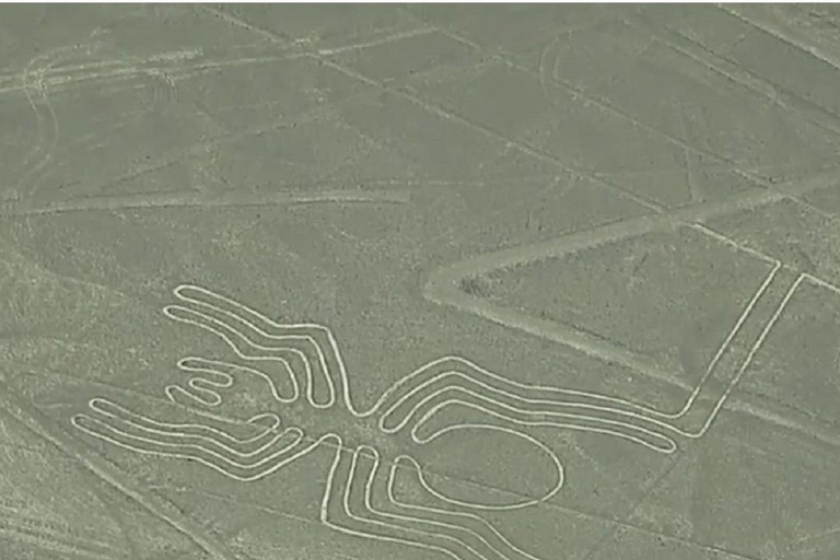 From Lima: Paracas - Huacachina - Nazca - Luxury bus to Arequipa 3D From Lima: Paracas- Huacachina- Nasca -Luxury bus to Arequipa 3D