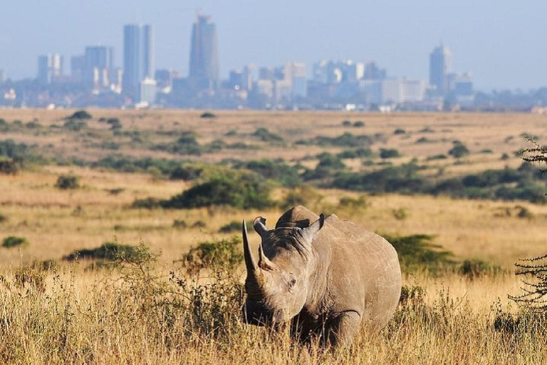 Olifantenweeshuis Nairobi nationalpark &lunch bij Carnivore.Olifantenweeshuis in Nairobi nationaal park, lunch bij Carnivore.