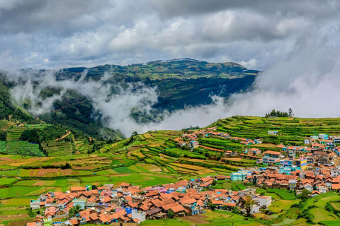 From Bangalore: Majestic Ooty Hill Station Tour 2N/3D