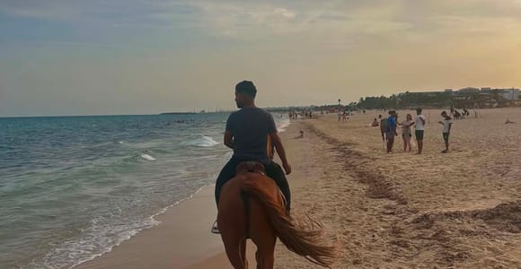 Hammamet: Horseback Ride Along the Beach & into the Sea