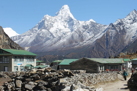 Exclusive EBC Experience — Calm, Local-Centric, Small Group