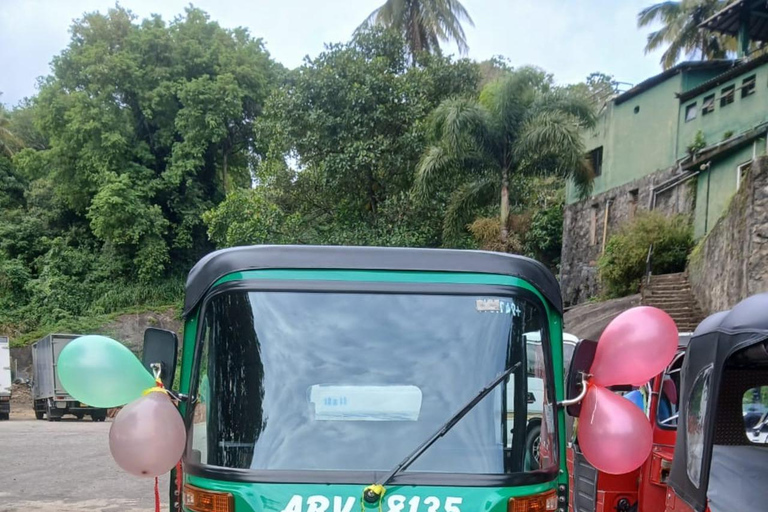 Kandy: Tea Tour