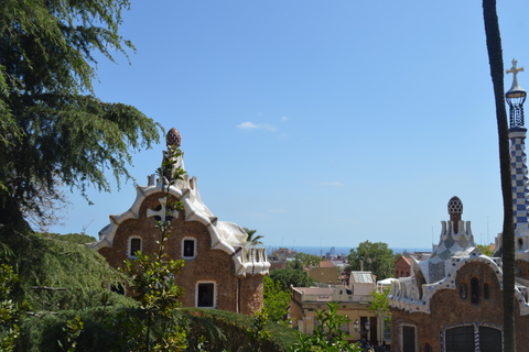 Barcelona Private Tour: Sagrada Familia,Park Güell & Pedrera