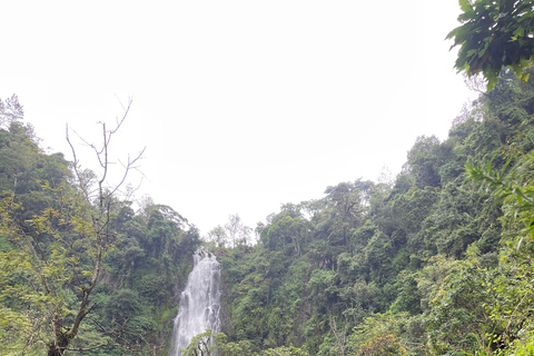 恩戈罗恩戈罗至吉力马扎罗山麓2日经济之旅恩戈罗恩戈罗至马特鲁尼和咖啡之旅（2 天经济之旅）