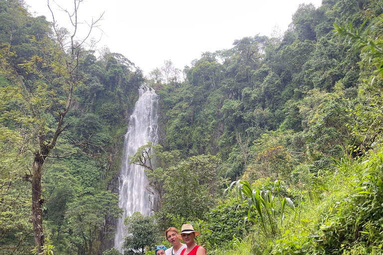 恩戈罗恩戈罗至吉力马扎罗山麓2日经济之旅恩戈罗恩戈罗至马特鲁尼和咖啡之旅（2 天经济之旅）