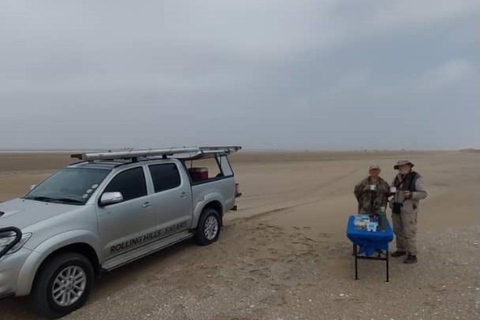 Walvis Bay: Visita de observação de aves e fotografia