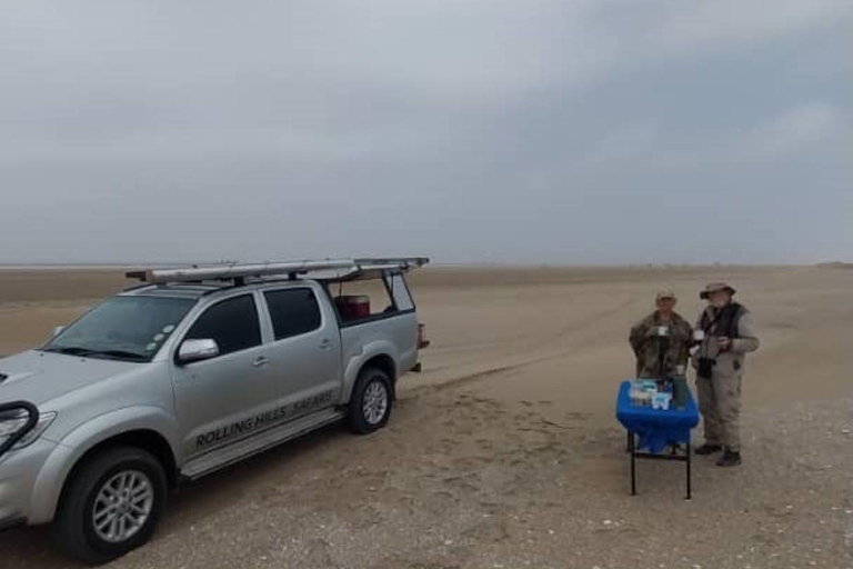 Walvis Bay: Obserwacja ptaków i wycieczka fotograficzna