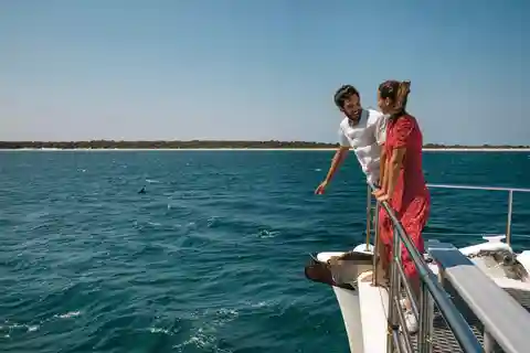 Sydney: Port Stephens Dolphin Watching & Sand Dunes Day Tour