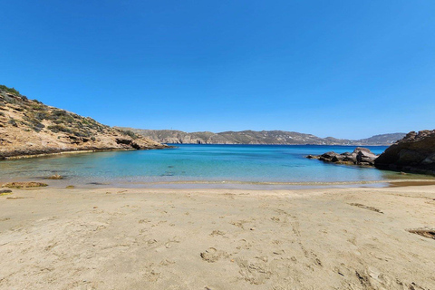 Aventure familiale en jeep à Mykonos : Ferme, vignoble et plage