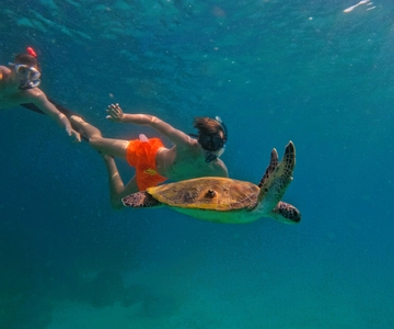 Mergulho com snorkel com tartarugas em Fujairah e almoço com churrasco
