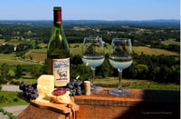 4 ore di tour del vino - Hizvo