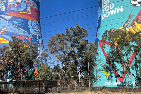 Soweto Soul &amp; Apartheid Echoes Half-Day Tour