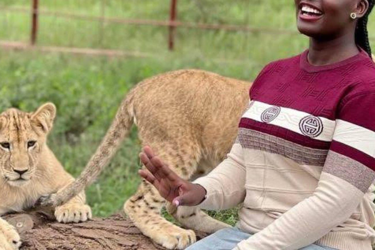 Arusha: Viagem de 1 dia com animais selvagens Serval com safari e almoço