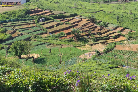 Trekking z Kandy do Ella