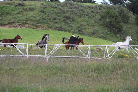 Akaro Village Sunrise & Sunset Wildlife Hike – Entoto