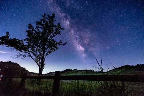 Osaka: Takeda Castle Ruins and Kobe One-Day Tour