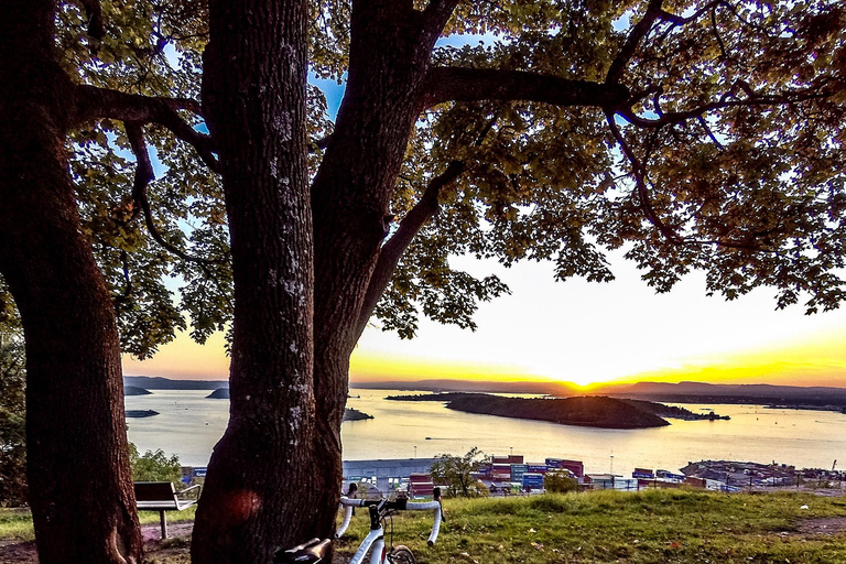 Passeio panorâmico de El-Bike em Oslo