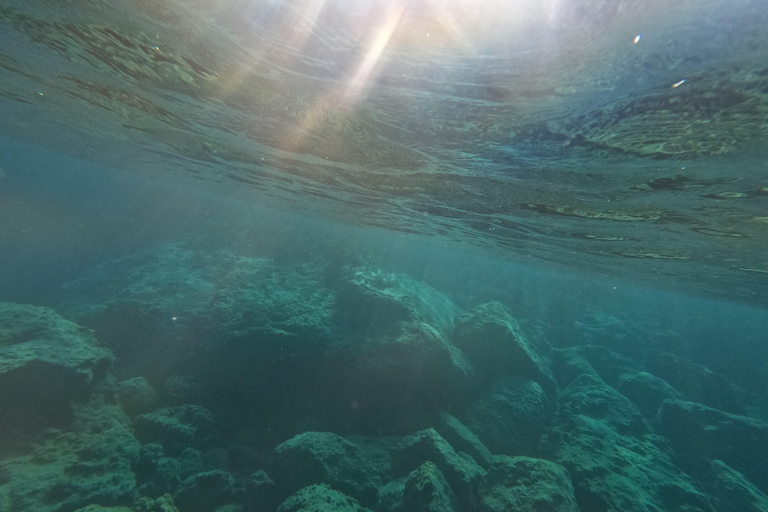 Pafos: Observación de tortugas con esnórquel en moto de mar