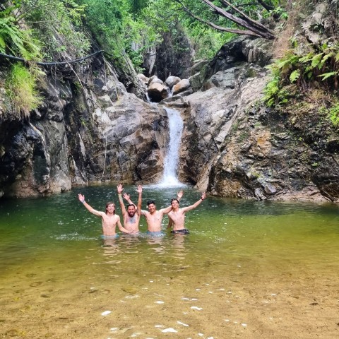 Visit Puerto Vallarta 4-Hour Jungle Hike and Waterfall Swim in Boca de Tomatlan