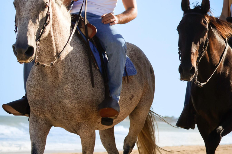 Jose Ignacio: Unforgettable Coastal Horseback at the Beach