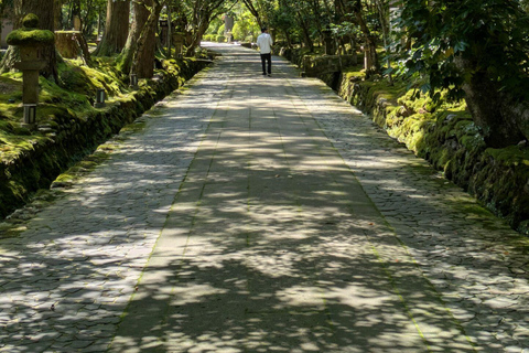 Vanuit Kanazawa: Natadera, ambachtsdorp en geishashow