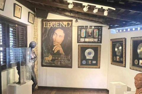 Montego Bay : Visite privée de Bob Marley et des chutes de Dunn's River