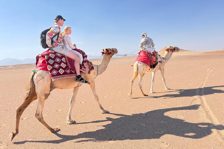 Hurghada: Camel Ride & horse ride and Off-Road Jeep Tour pickup from hotels inside hurghada