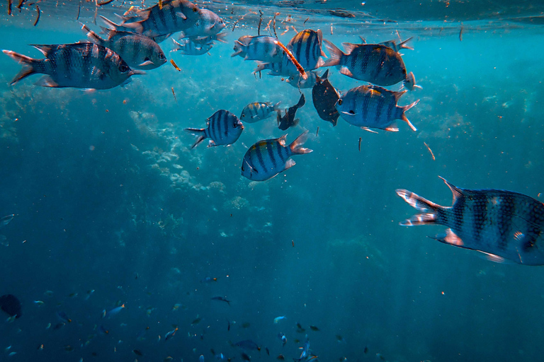 Phuket: PhiPhi Island Snorkeling Tour with Lunch Full Day Tour without Transfer