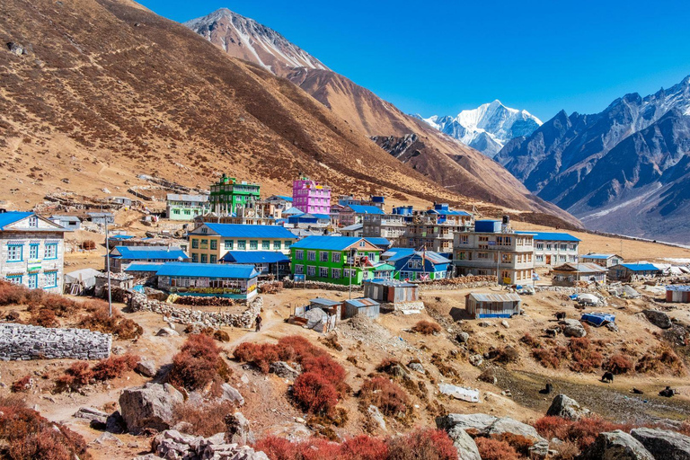 Langtang Highlands Trek via Tserko Ri & Sherpagaon