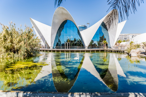 Valencia: ticket de entrada al OceanogràficNo Reembolsable: Entrada al Oceanogràfic