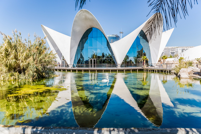 Valência: Ingresso para o Oceanogràfic