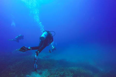 Plongée sous-marine