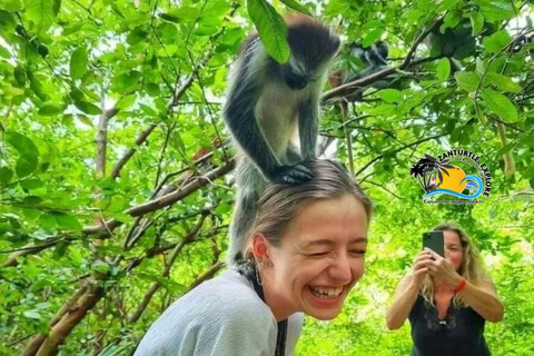 Zanzibar: Blå lagunen, sjöstjärnor och Jozani-skogenTransfer till hotell var som helst på Zanzibar