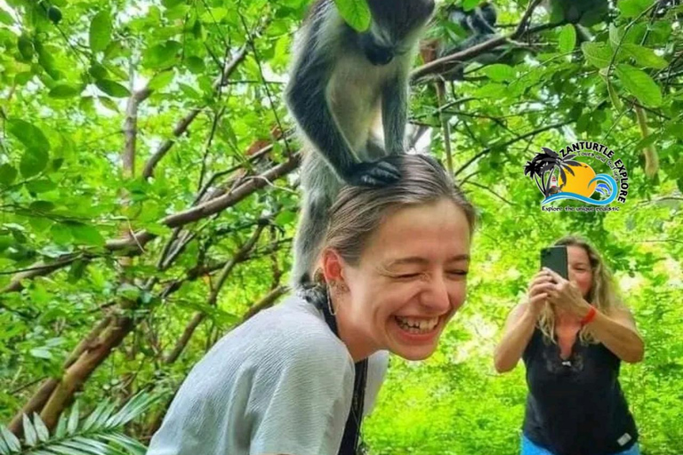 Zanzibar: Blå lagunen, sjöstjärnor och Jozani-skogenTransfer till hotell var som helst på Zanzibar