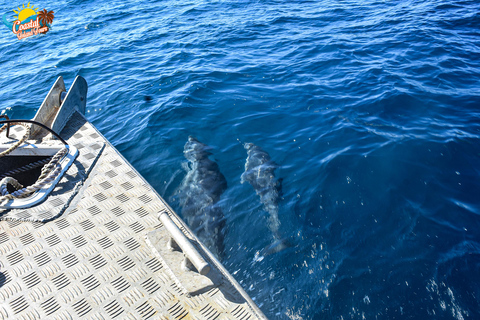 Sigatoka: Charter de pesca com cruzeiro no rio e lanchesSigatoka: Passeio de barco com pesca e lanche