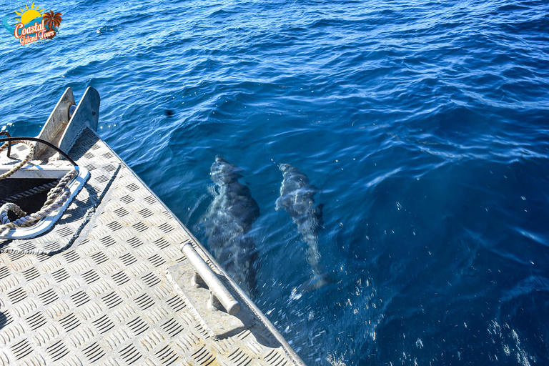 Sigatoka: Charter de pesca com cruzeiro no rio e lanchesSigatoka: Passeio de barco com pesca e lanche