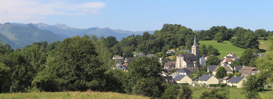 Promenade guidée dans la nature jusqu'à Bartrès avec un chien de montagne des Pyrénées