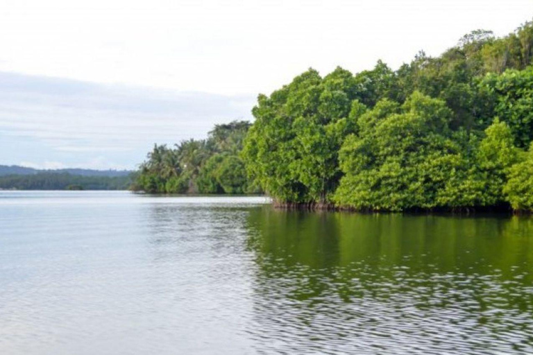 Bentota/Beruwala: Galle Fort, Koggala Lake & Kayaking Tour