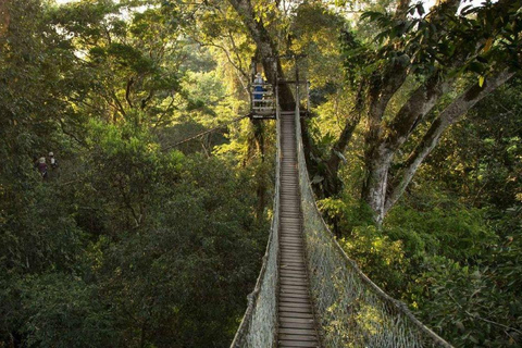 Madre de Dios-Inkaterra Amazon Reserve Experience 3-dagars rundtur