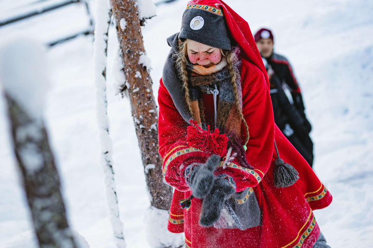 Levi：Arcandia，精灵法庭/日光和公园/黑暗精灵法庭：3 小时体验和公园之旅