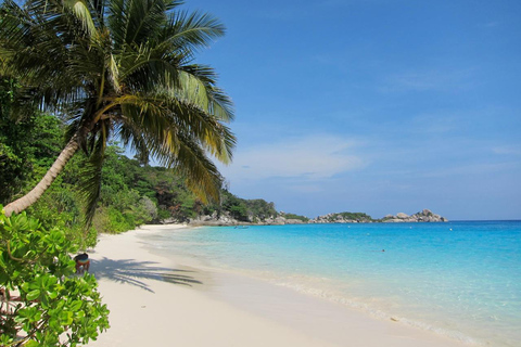 phuket : 4 Similan eilanden speedboot + snorkelen + transfer + maaltijdphuket : Similan 5 eilanden speedboot + snorkelen + transfer + maaltijd