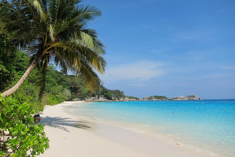 phuket : 4 Similan eilanden speedboot + snorkelen + transfer + maaltijdphuket : Similan 5 eilanden speedboot + snorkelen + transfer + maaltijd