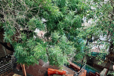 Varanasi: 12 Jyotirlinga Yatra – Guided Journey by Omvity